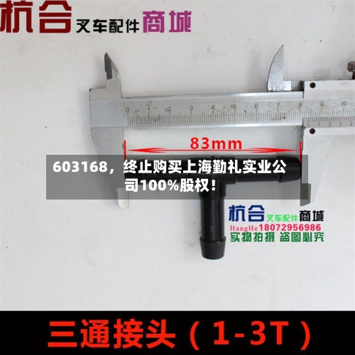 603168	，终止购买上海勤礼实业公司100%股权！-第3张图片