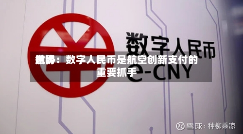 世界航协：数字人民币是航空创新支付的重要抓手-第2张图片