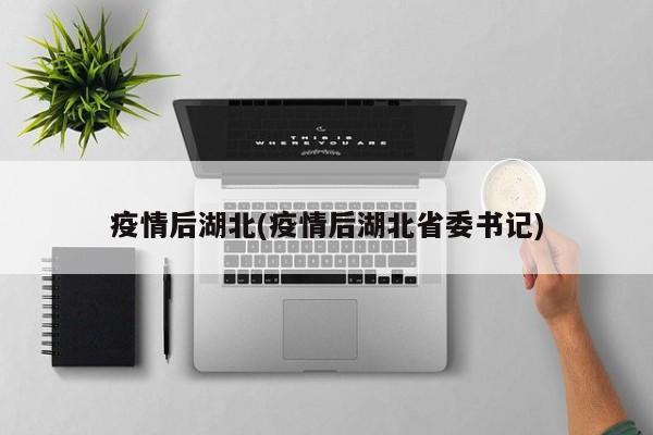 疫情后湖北(疫情后湖北省委书记)